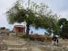 Knossos